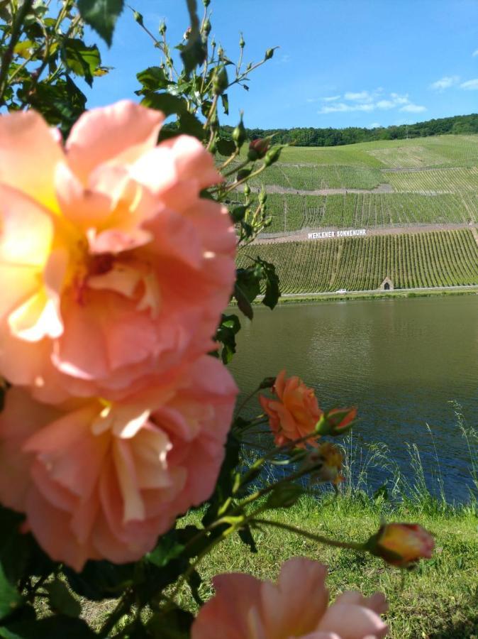 Ferienwohnungen Und Gaestezimmer Peter Busch Bernkastel-Kues Exterior photo