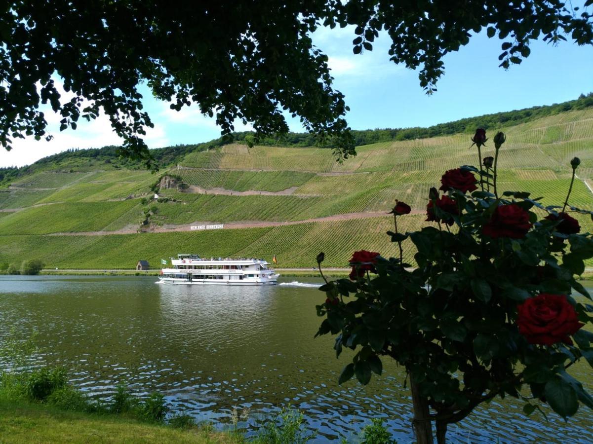 Ferienwohnungen Und Gaestezimmer Peter Busch Bernkastel-Kues Exterior photo