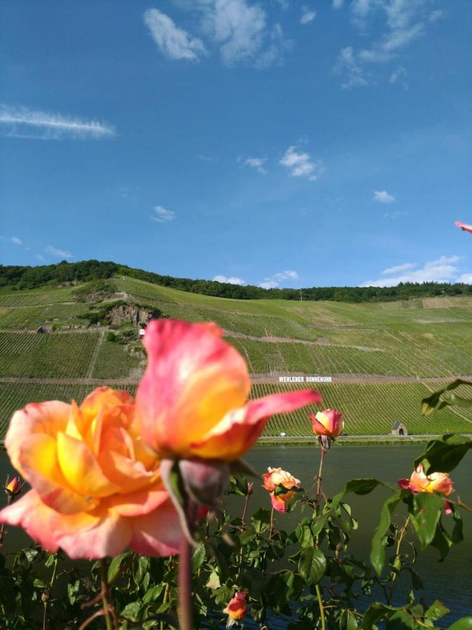 Ferienwohnungen Und Gaestezimmer Peter Busch Bernkastel-Kues Exterior photo